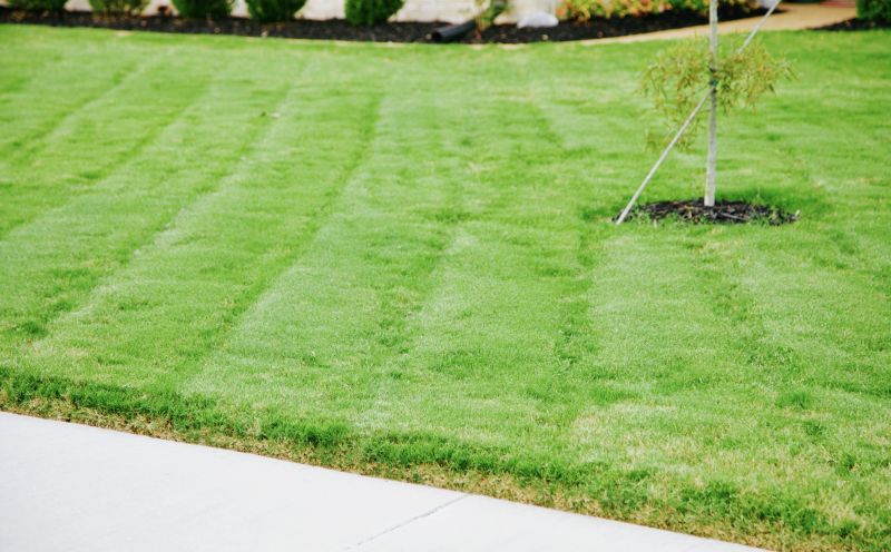 Edged Lawn