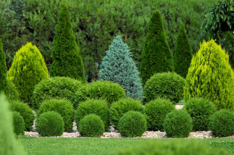Shrub Shaping for Curb Appeal